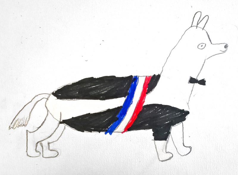 dessiner des animaux, dessin chiens, illustration Bordeaux, Julie Blaquié