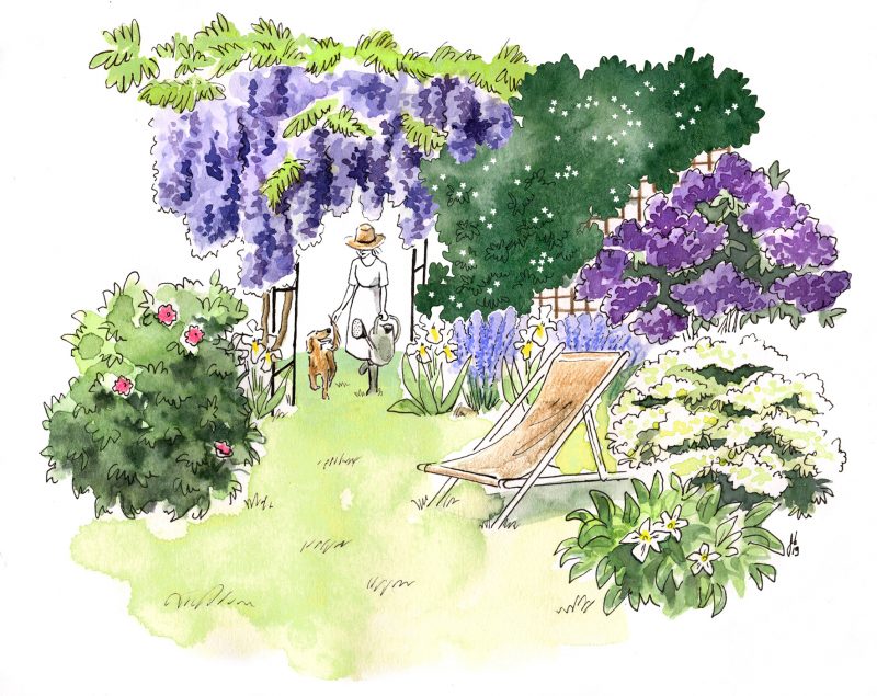 illustration bordeaux, illustration de jardin, croquis jardin